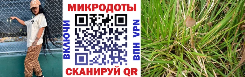 Галлюциногенные грибы MAGIC MUSHROOMS  Подольск 