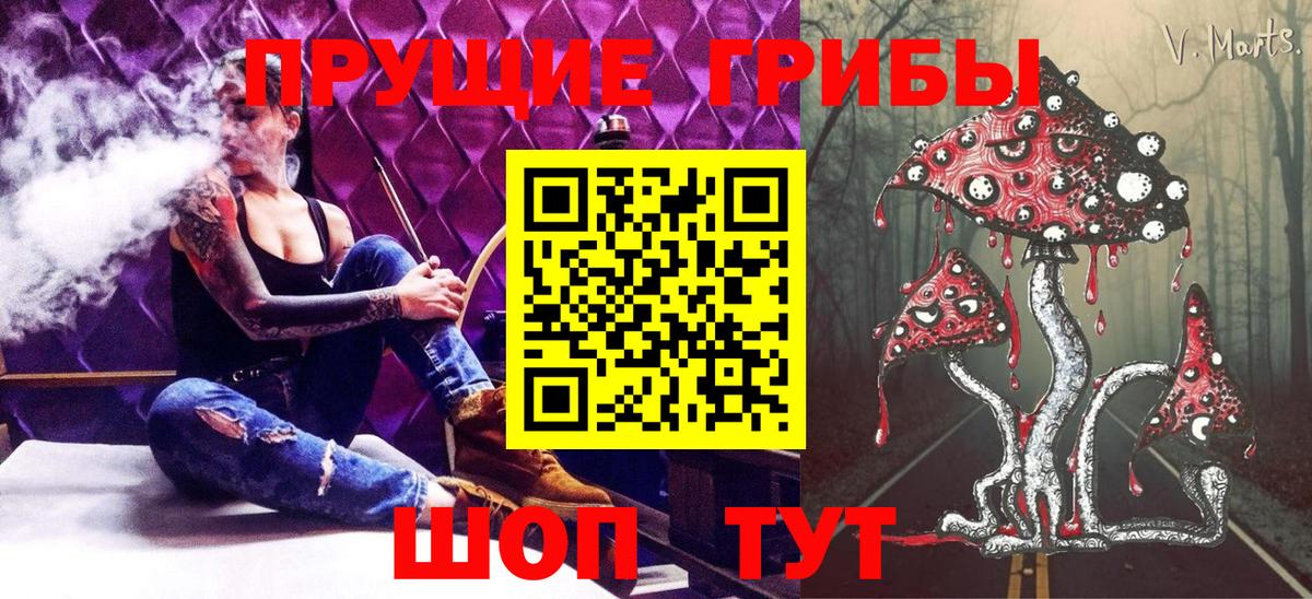 Подольск  Псилоцибиновые грибы Magic Shrooms  Вход с VPN 