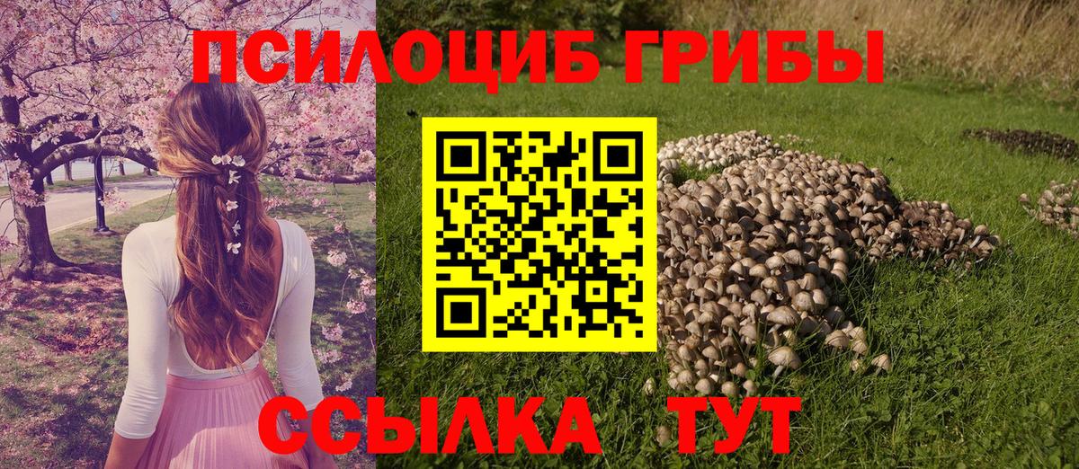 Галлюциногенные грибы ЛСД Подольск